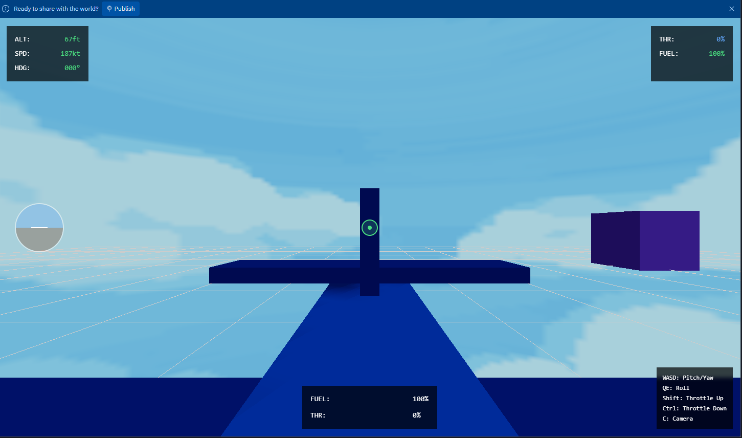 screenshot- flight sim